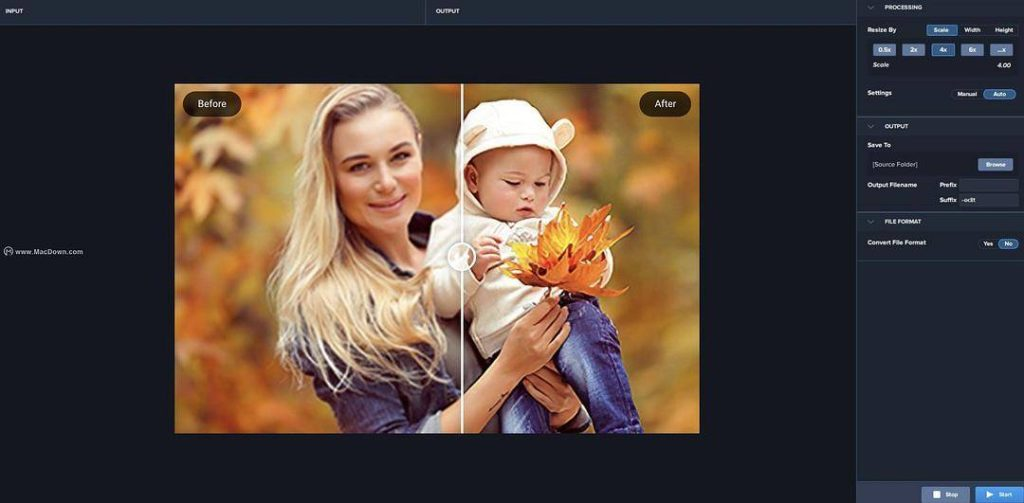 图片无损放大 v8.4.2 Topaz Gigapixel AI 绿色便携版